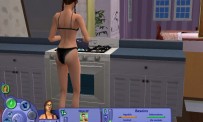 Les Sims : Histoires de Vie