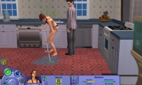 Les Sims : Histoires de Vie