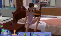 Les Sims : Histoires de Vie