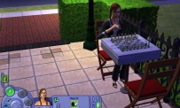 Les Sims : Histoires de Vie