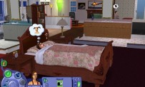 Les Sims : Histoires de Vie