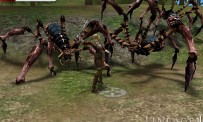 Lineage II : The Chaotic Chronicle