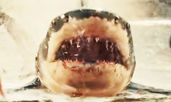 Man Eater : un trailer acéré, on peut incarner un requin affamé