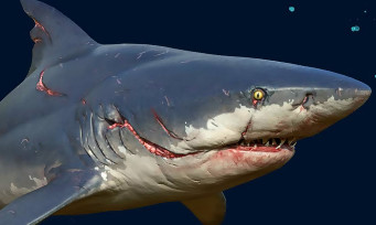 ManEater : un DLC est confirmé, de nouveaux requins tueurs ?