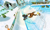 Mario Kart Wii