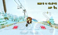 Mario Kart Wii