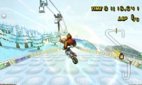 Mario Kart Wii