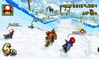 Mario Kart Wii