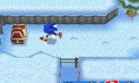 Mario & Sonic aux Jeux Olympiques d'Hiver