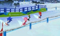 Mario & Sonic aux Jeux Olympiques d'Hiver