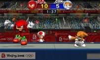 Mario & Sonic aux Jeux Olympiques