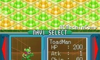 Mega Man Battle Network 5 : Double Team