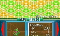 Mega Man Battle Network 5 : Double Team