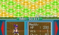 Mega Man Battle Network 5 : Double Team