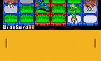 Mega Man Battle Network 5 : Double Team