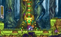 Mega Man ZX