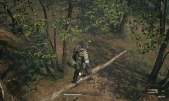 Metal Gear Solid 3 Remake