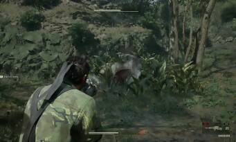 Metal Gear Solid 3 Remake