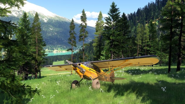 Microsoft Flight Simulator 2024