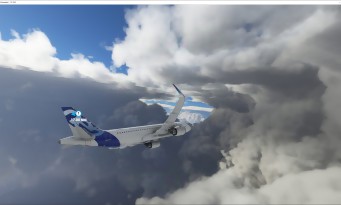 Microsoft Flight Simulator