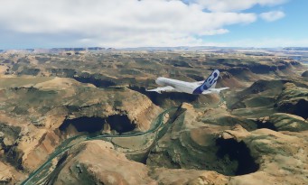 Microsoft Flight Simulator