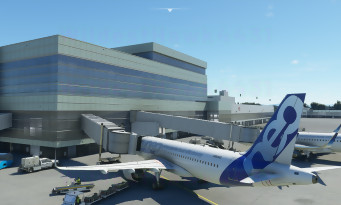 Microsoft Flight Simulator