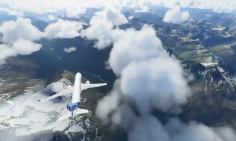 Microsoft Flight Simulator