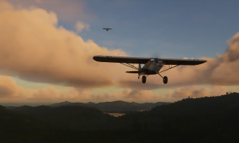 Microsoft Flight Simulator