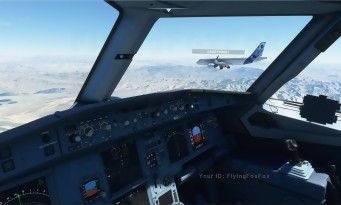 Microsoft Flight Simulator