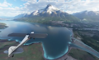 Microsoft Flight Simulator