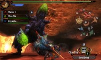 Monster Hunter 3 Ultimate