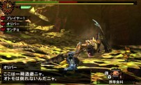 Monster Hunter 4