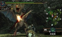 Monster Hunter Freedom 2