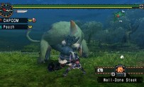 Monster Hunter Freedom Unite