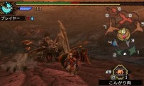 Monster Hunter Portable 3rd