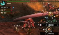 Monster Hunter Portable 3rd