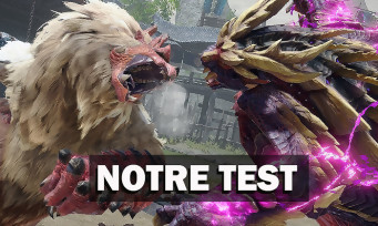 Test Monster Hunter Rise : la version PC est-elle vraiment la Superior Version ?