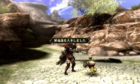 Monster Hunter Tri