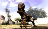 Monster Hunter Tri