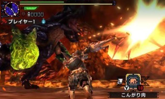 Monster Hunter Generations