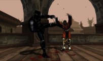 Mortal Kombat : Mystification