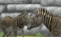 My Zoo