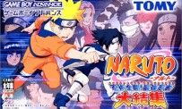 Naruto : Ninja Council