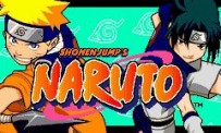 Naruto : Ninja Council
