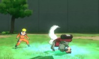 Naruto : Ultimate Ninja Storm