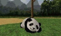 National Geographic Panda
