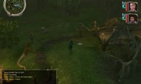 NeverWinter Nights 2