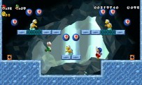 New Super Mario Bros. Wii