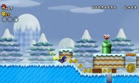 New Super Mario Bros. Wii