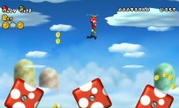 New Super Mario Bros. Wii